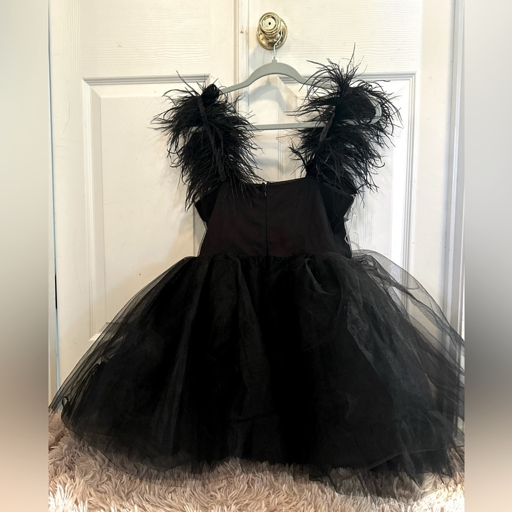 Black feathered Party Dress